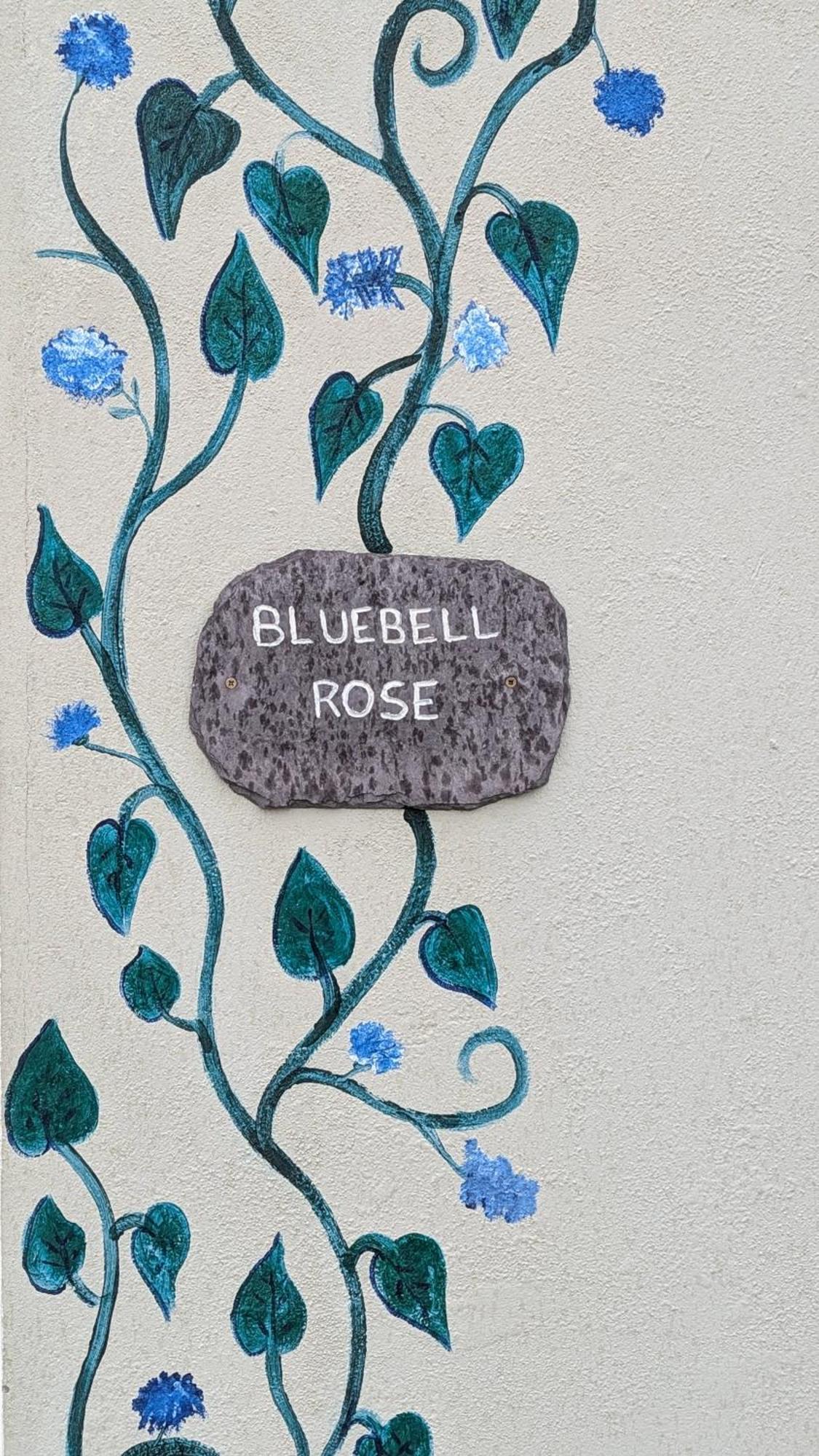 포트마지 Skellig View Bluebell Rose & The Kerry Cliffs 아파트 외부 사진